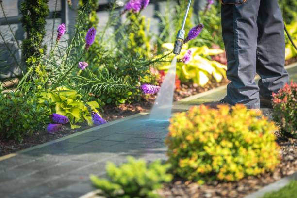 Best Dumpster Area Cleaning  in Clayton, IN