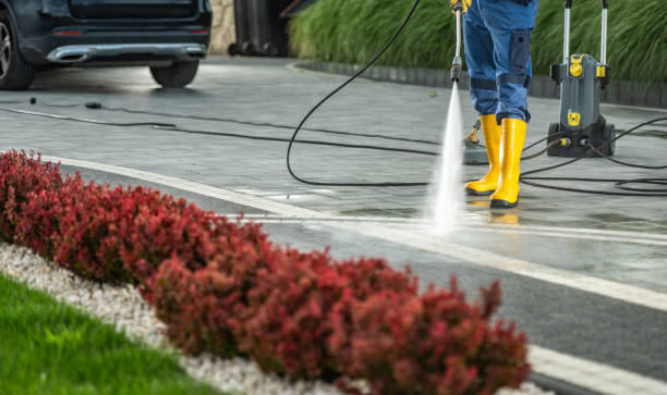 Best Sidewalk and Walkway Cleaning  in Clayton, IN